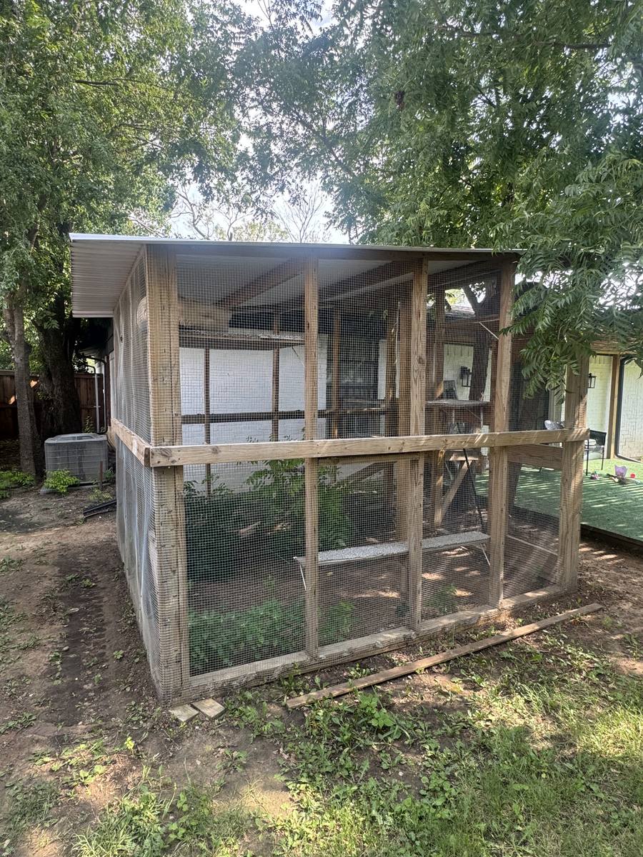 Custom-built 8 by 10 foot cedar catio with a metal roof in a Dallas backyard, shaded by pecan trees
