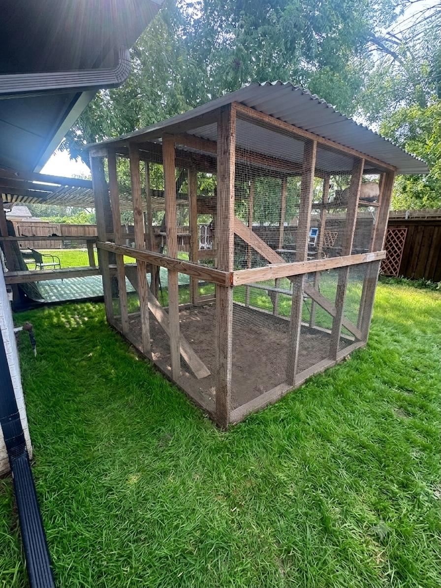 Custom-built 8 by 10 foot catio with a polycarbonate roof in a green Dallas backyard