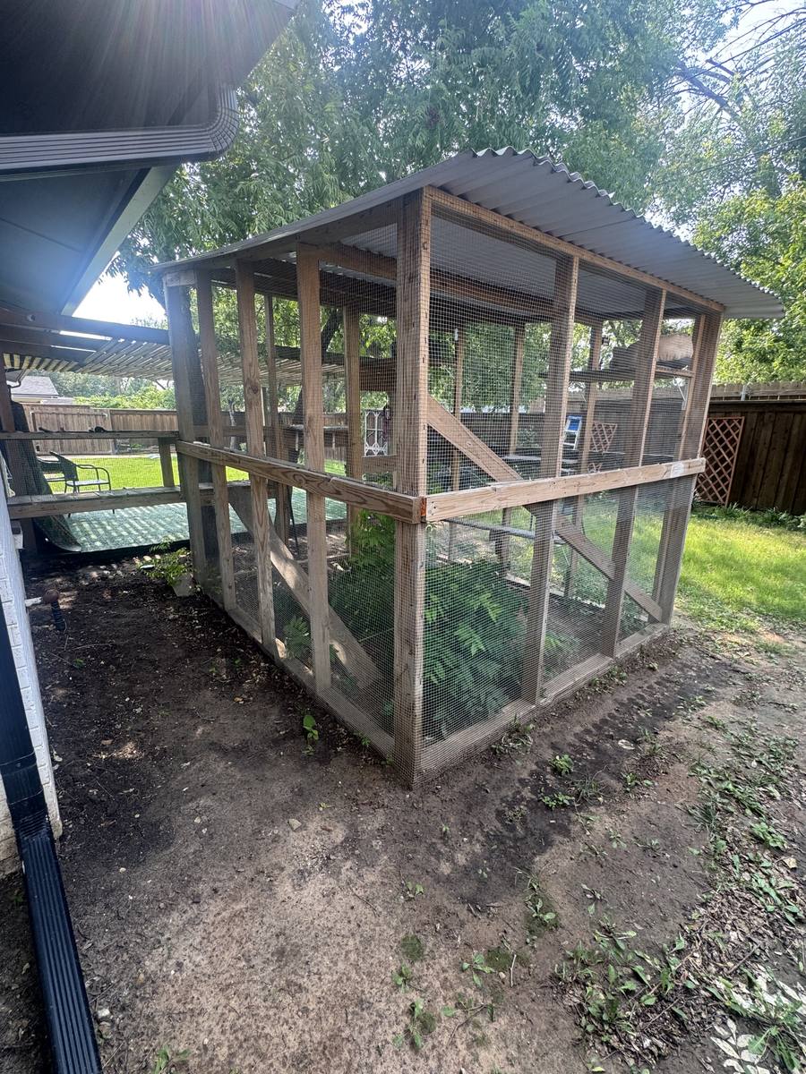 Full view of an 8 by 10 foot catio with metal roof in a backyard