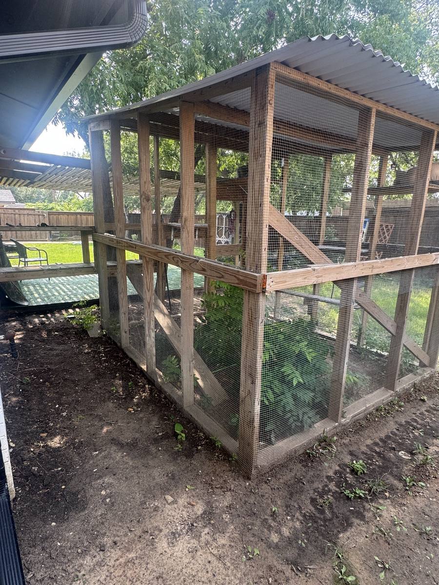 Corner view of the catio showing the wood framing and wire mesh